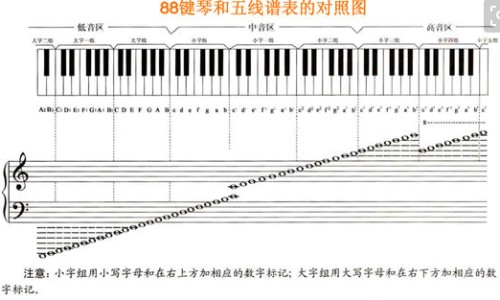女人脾胃不好吃什么-女孩脾胃不好吃啥比较好网 - 网站提供女孩脾胃不好怎么调理小常识、女孩脾胃不好吃啥比较好调理